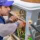 Signs Your System Needs Immediate Service